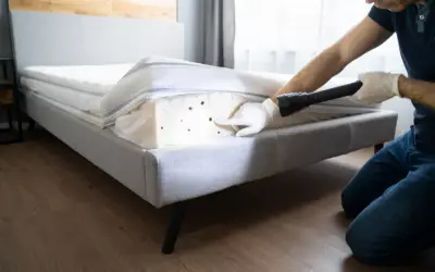 Bed Bug Treatment